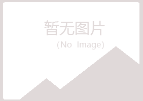 北流紫山化学有限公司